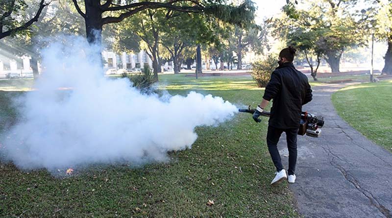 Dengue en Rosario