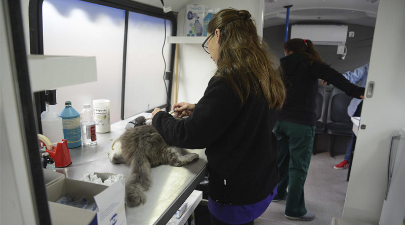 IMUSA descentralizado