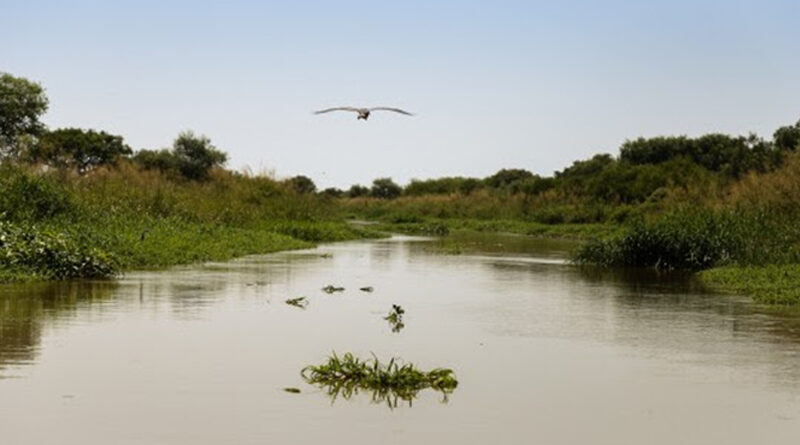Humedales del Paraná