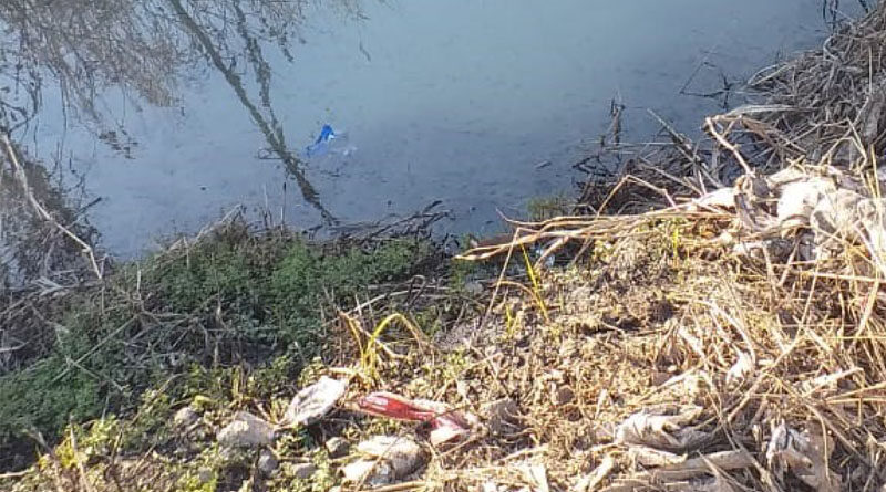 Contaminación en arroyo Saladillo