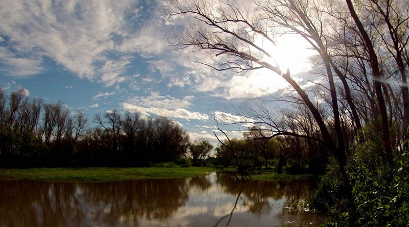 Humedal del Paraná