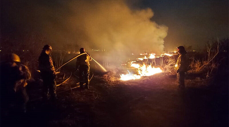 Brigadistas en las islas