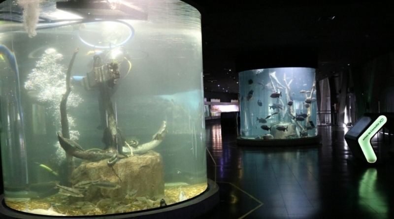 Acuario de Rosario