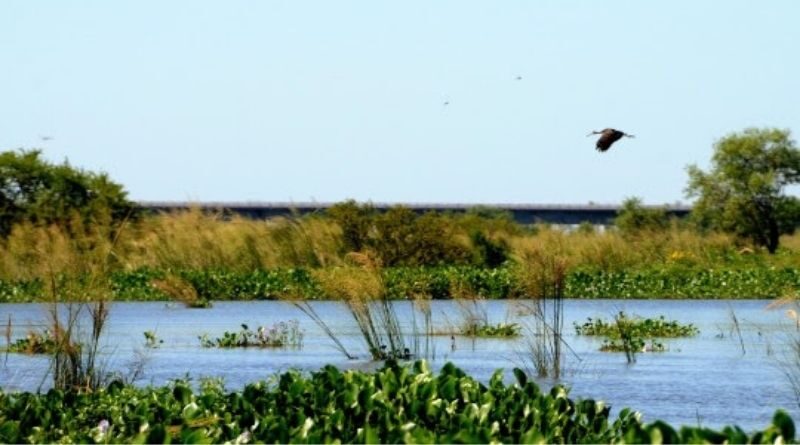 Islas Humedales del Paraná