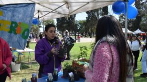 Trabajos de alumnos de Santa Fe Más